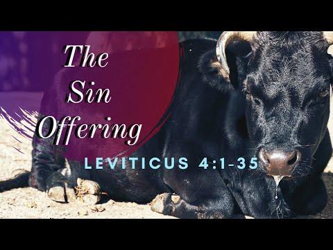 Leviticus 4:1-35 Offerings For Unintentional Sins (GNT) Female Narration