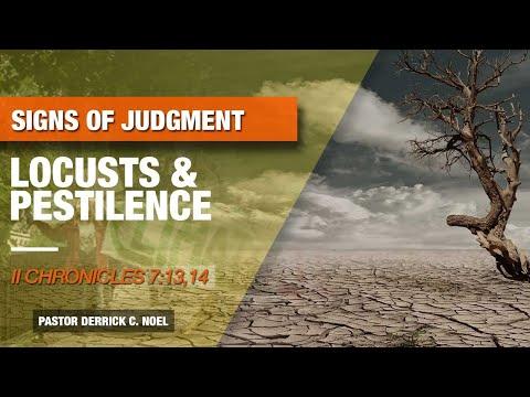 Signs Of Judgment: Locusts And Pestilence - 2 Chronicles 7:13,14 [Perfect Peace Baptist Church]
