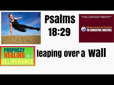 DAILY PROPHECIES/LEAPING OVER A WALL/PSALMS 18:29