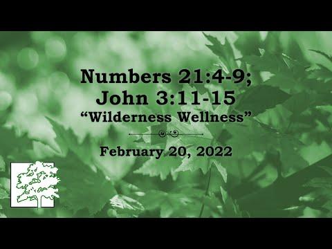 February 20, 2022 - Numbers 21:4-9; John 3:11-15 - “Wilderness Wellness”