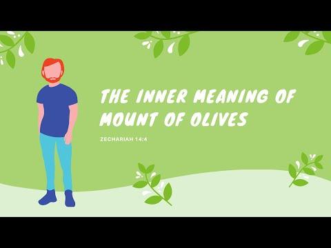The Inner Meaning Of Mount Of Olives: Zechariah 14:4
