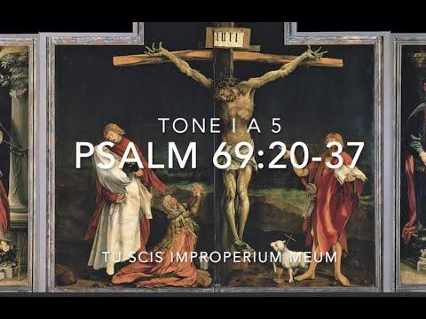 Psalm 69:20-37 – Tu scis improperium meum