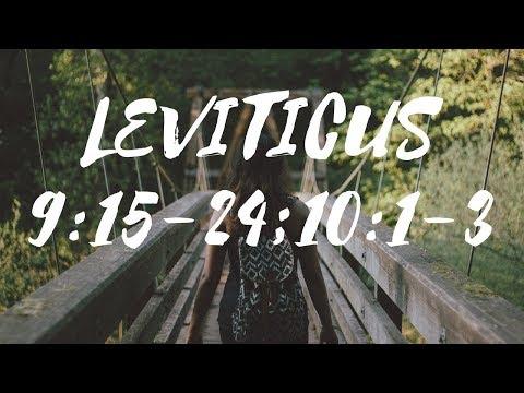 Leviticus 9:15-24;10:1-3