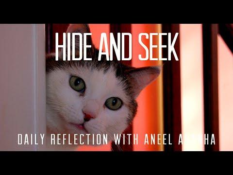 Daily Reflection with Aneel Aranha | Matthew 3:13-17 | January 12, 2020