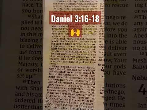 Daniel 3:16-18 NIV ***God will deliver you! #ReadTheWordWithVicky