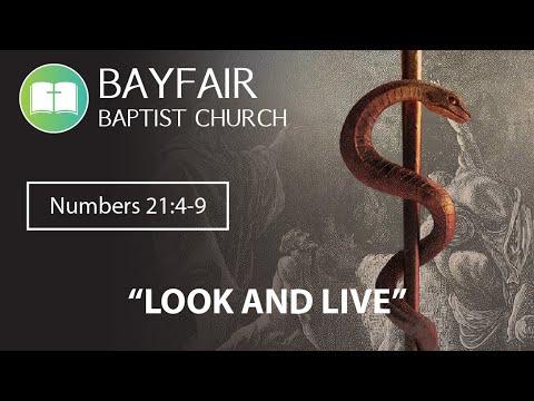 Bayfair Baptist Church - Numbers 21:4-9 // January 30th, 2022