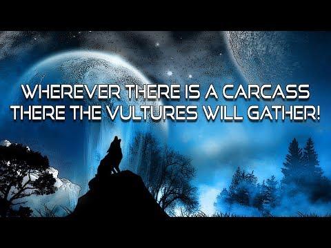 Wherever There Is A Carcass, There the Vultures Will Gather | Matthew 24:29-51
