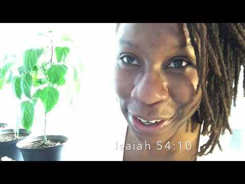 7-day Scripture challenge. (& Indoor Garden Tour) Isaiah 54:10. Covenant of Peace.