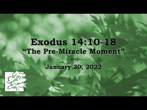 January 30, 2022 - Exodus 14:10-18 - “The Pre-Miracle Moment”
