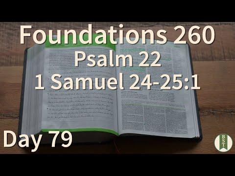 F260 Day 79: Psalm 22; 1 Samuel 24-25:1 [Bible Study Minute]