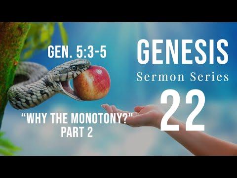 Genesis Sermon Series 22. Why the Monotony? Part 2  Genesis 5:3-5. Dr  Andrew Woods