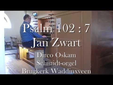 Jan Zwart - Psalm 102 : 7 - Brugkerk Waddinxveen