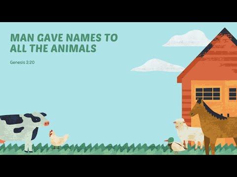 Man Gave Names To All The Animals: Genesis 2:20