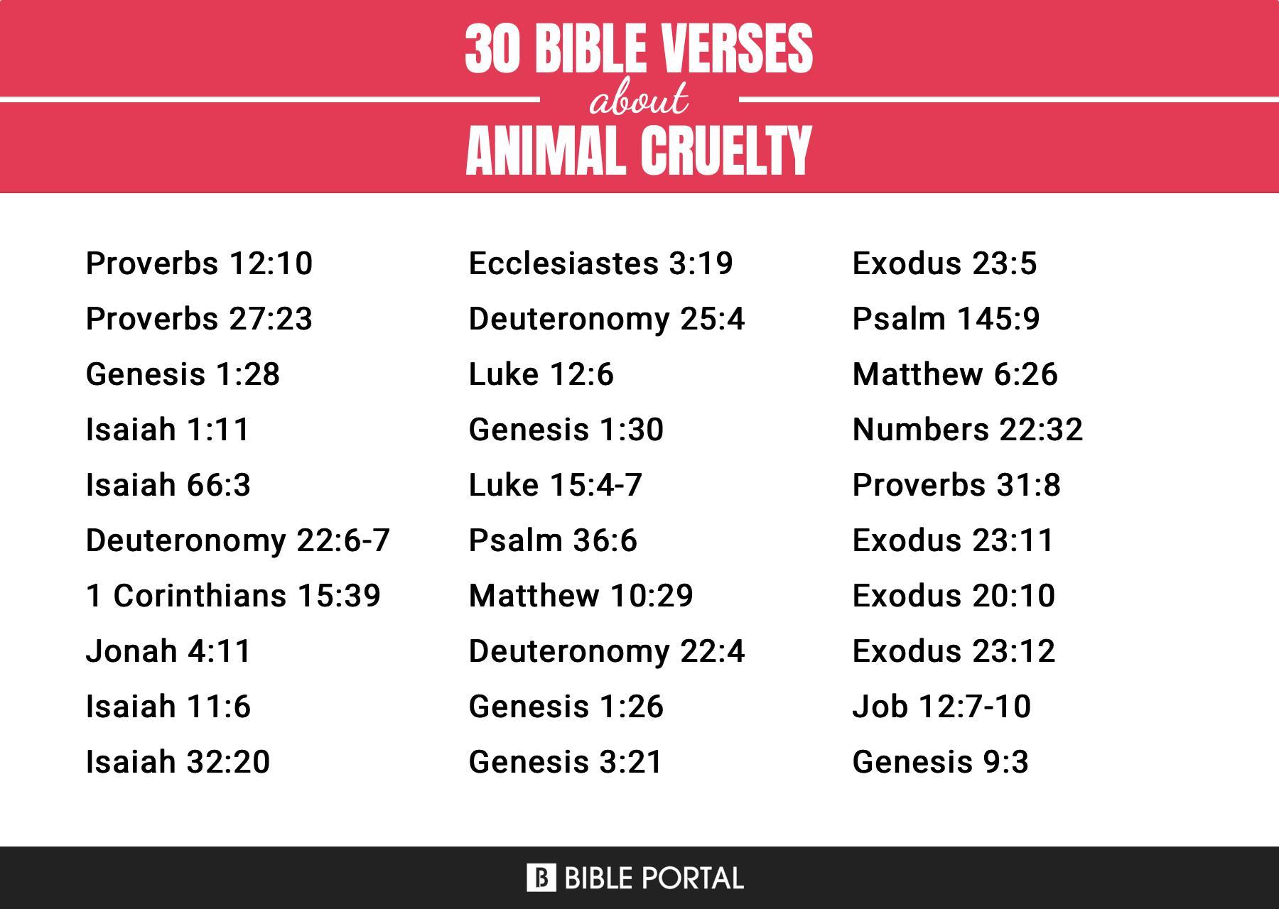 78 Bible Verses about Animal Cruelty