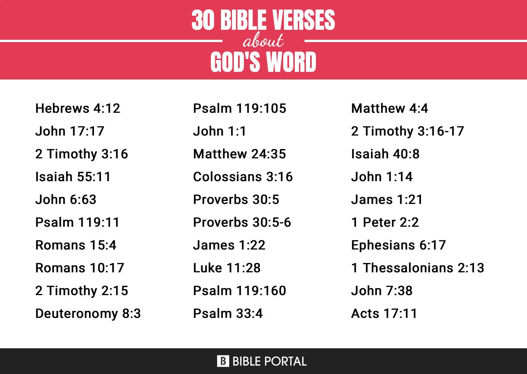 What Does the Bible Say about God's Word?
