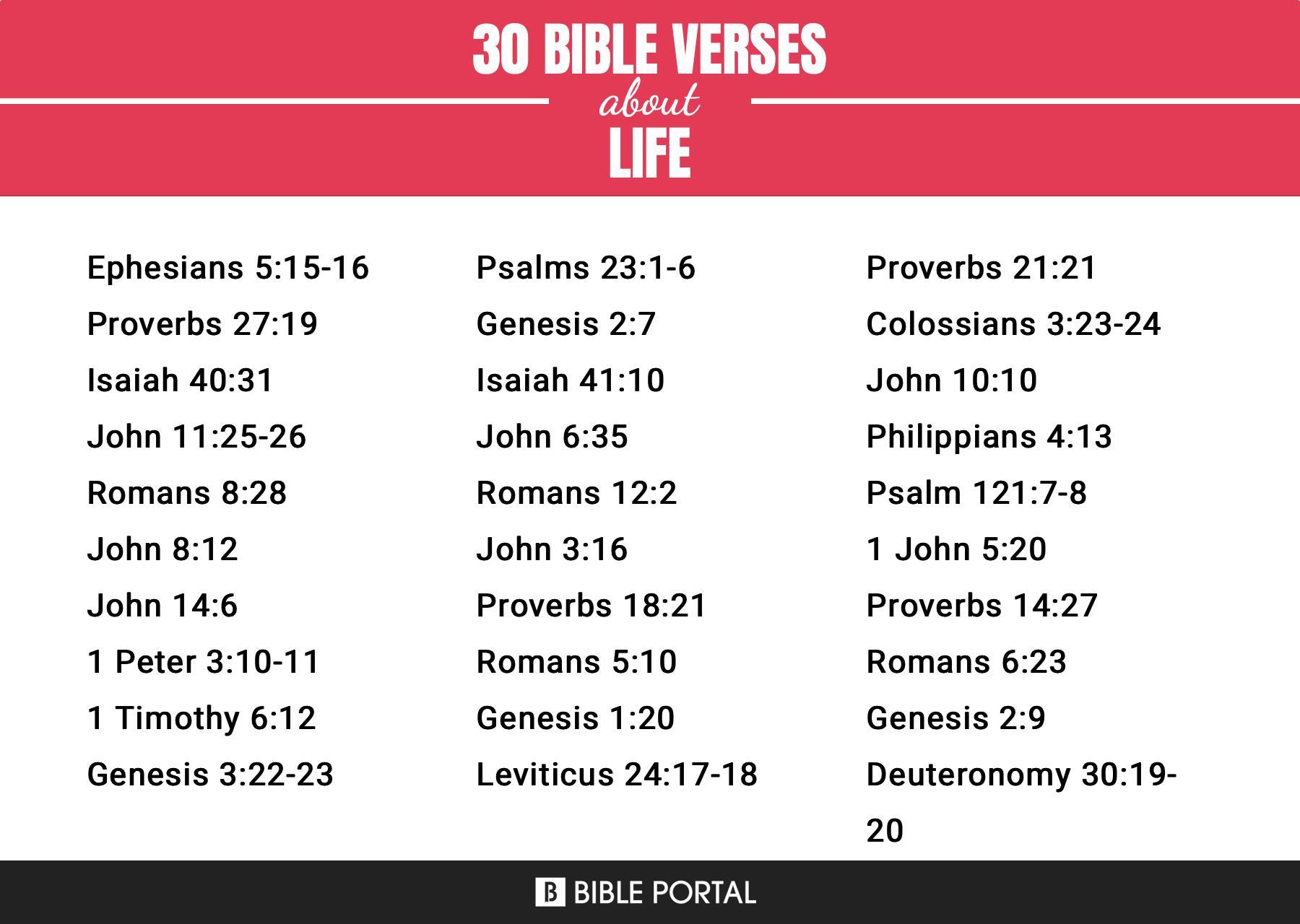 What Does the Bible Say about Life?