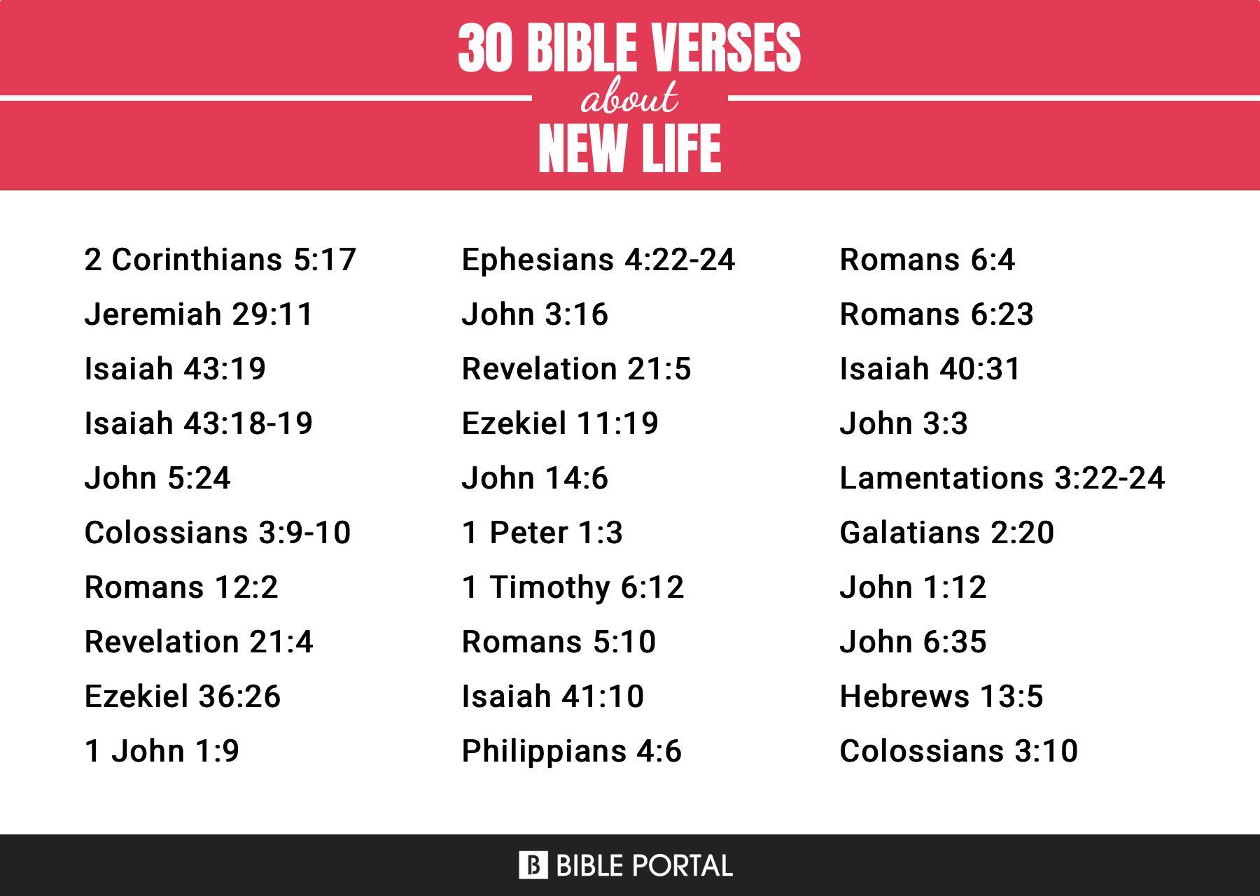 234 Bible Verses about New Life
