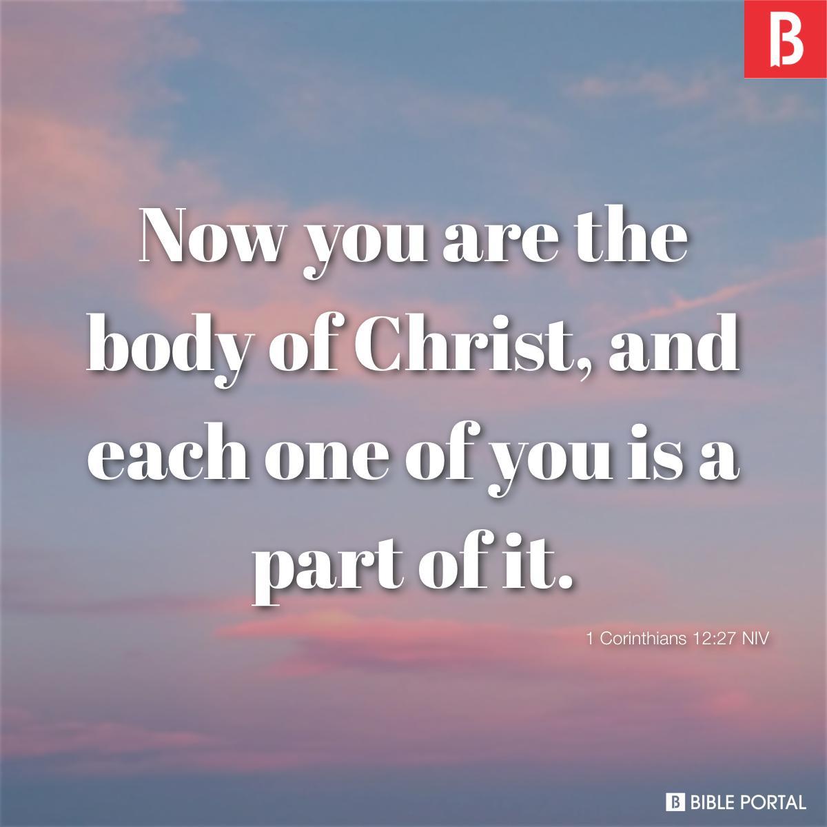 1 Corinthians 12:27 NIV