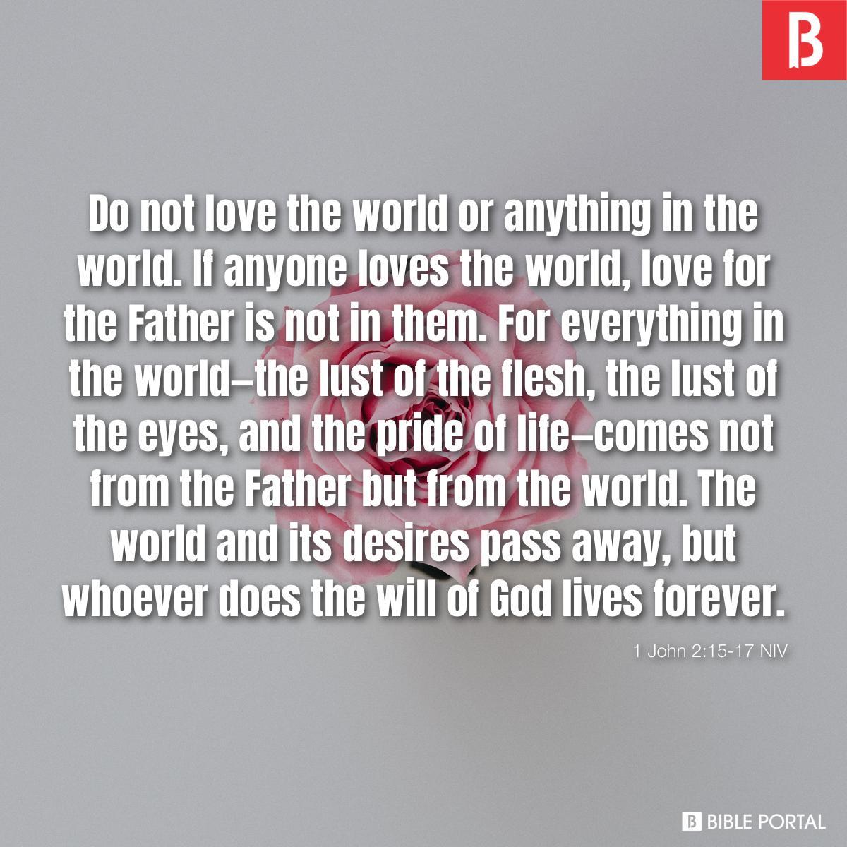 1 John 2:15-17 NIV
