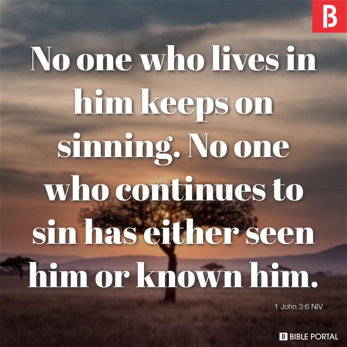 1 John 3:6 NIV