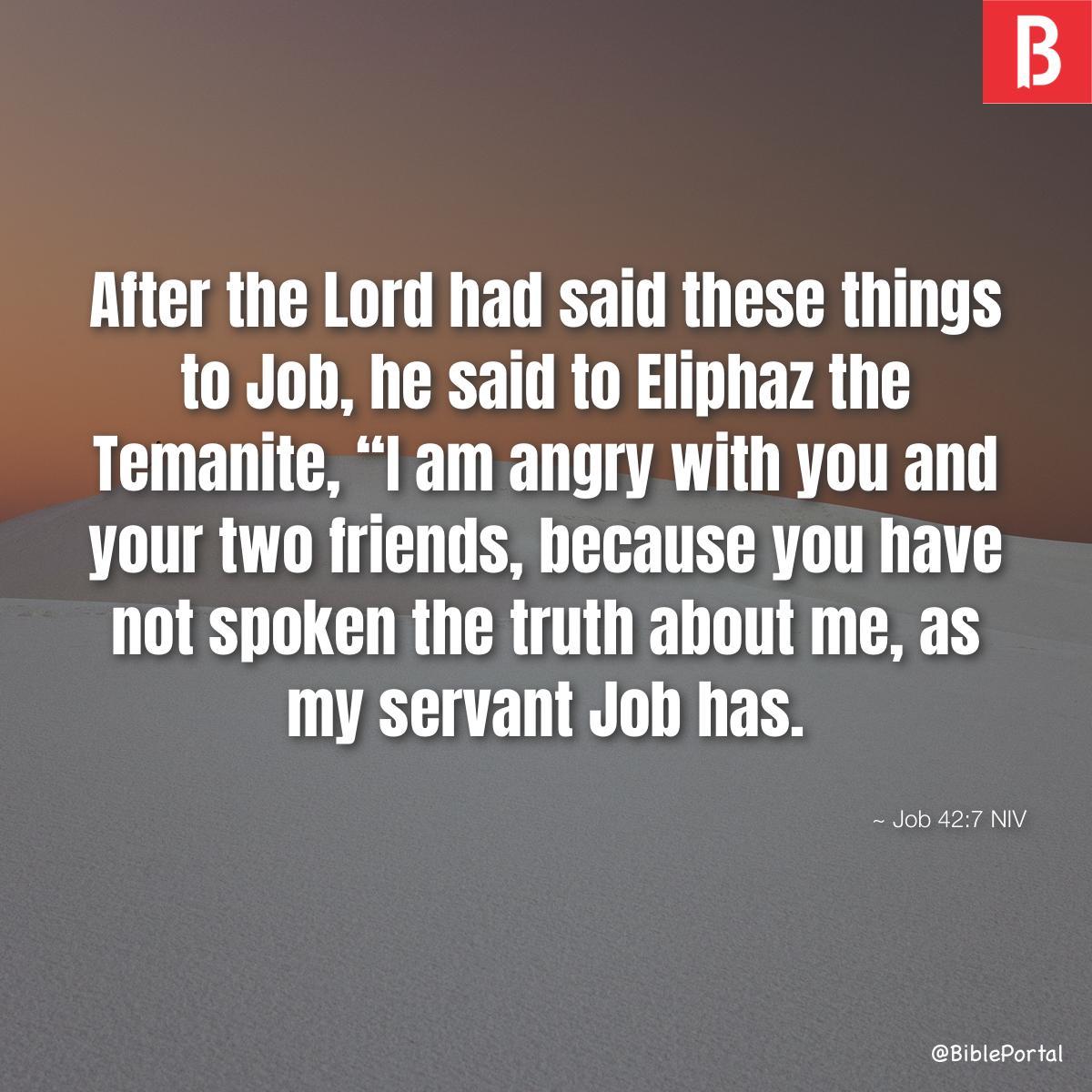 Job 42:7 NIV
