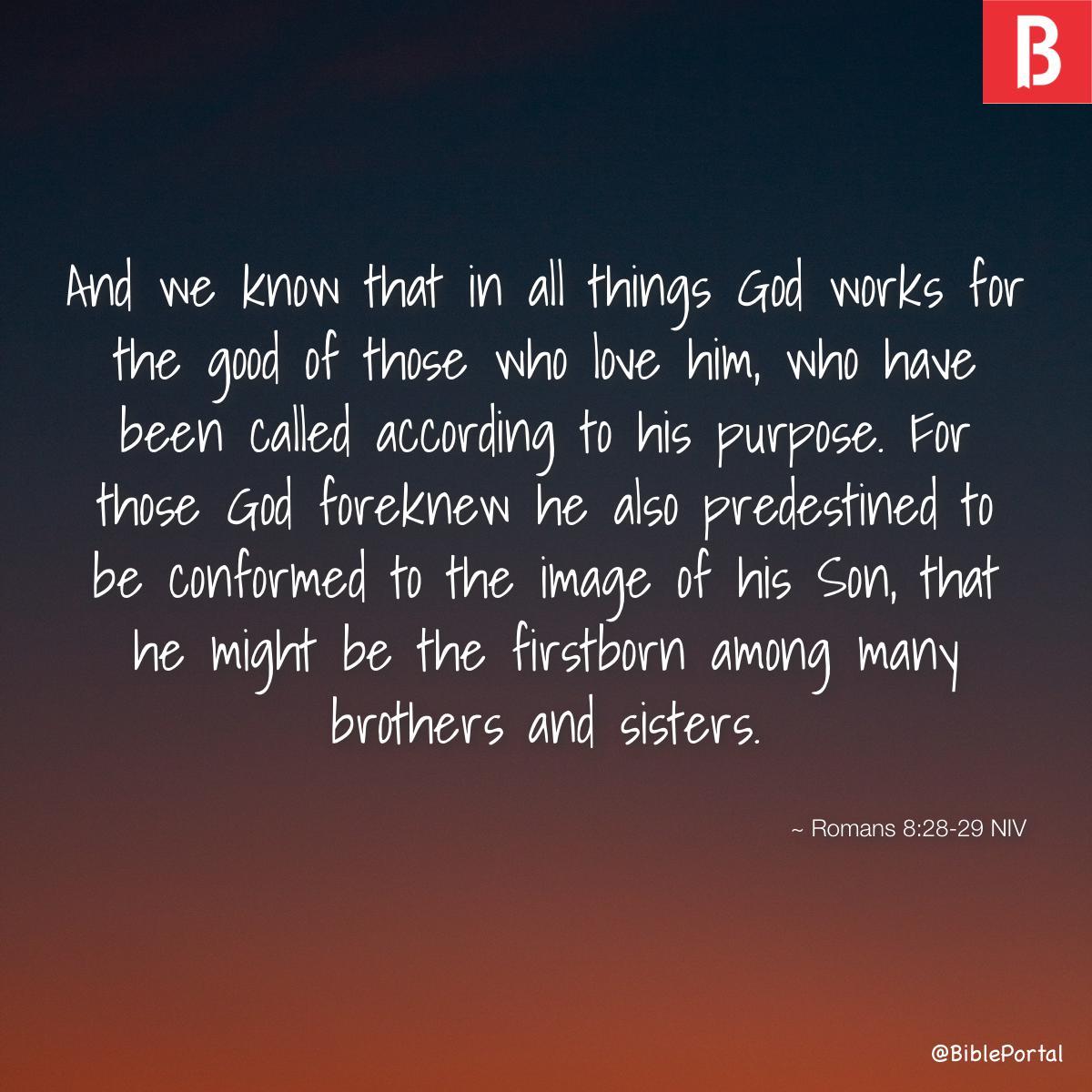 Romans 8:28-29 NIV