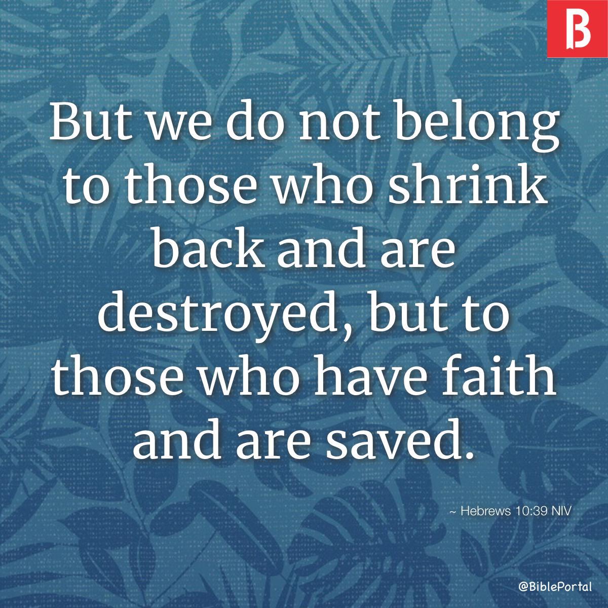 Bible verse of the day - April 9, 2024 - Hebrews 10:39