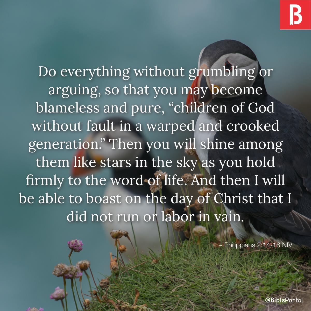 Philippians 2:14-16 NIV