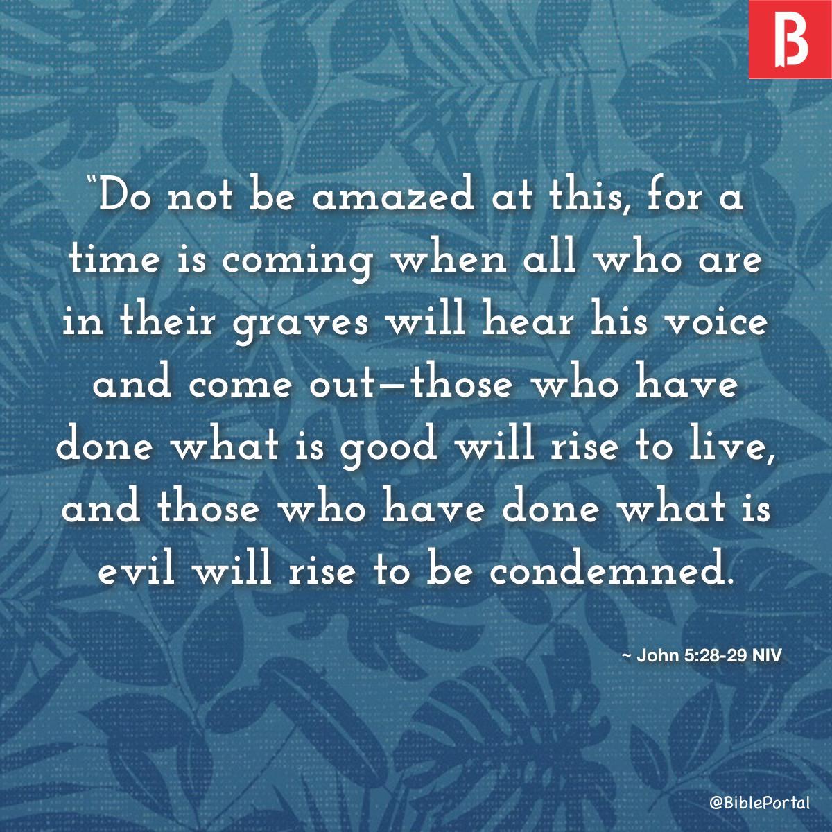 John 5:28-29 NIV