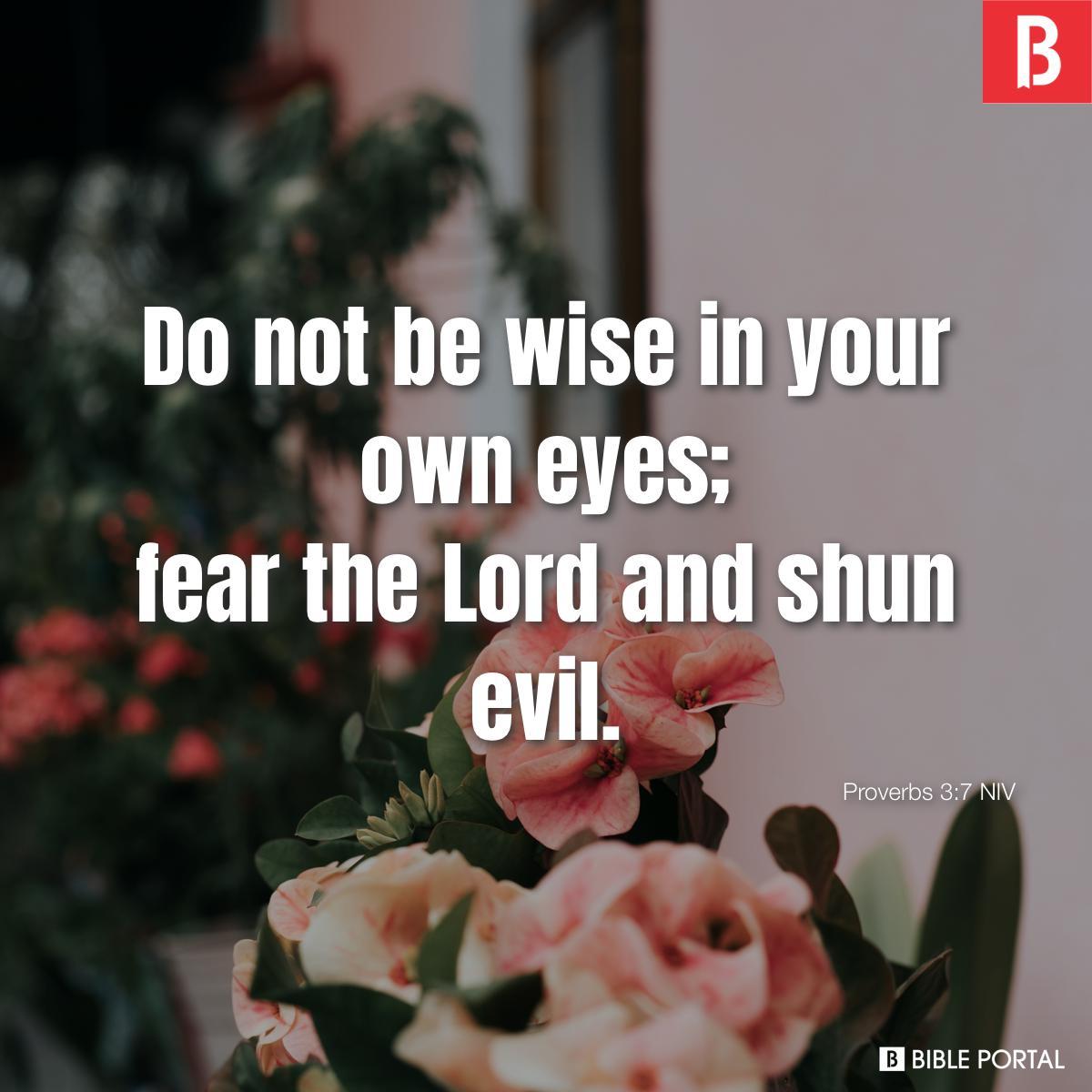 Proverbs 3:7 NIV