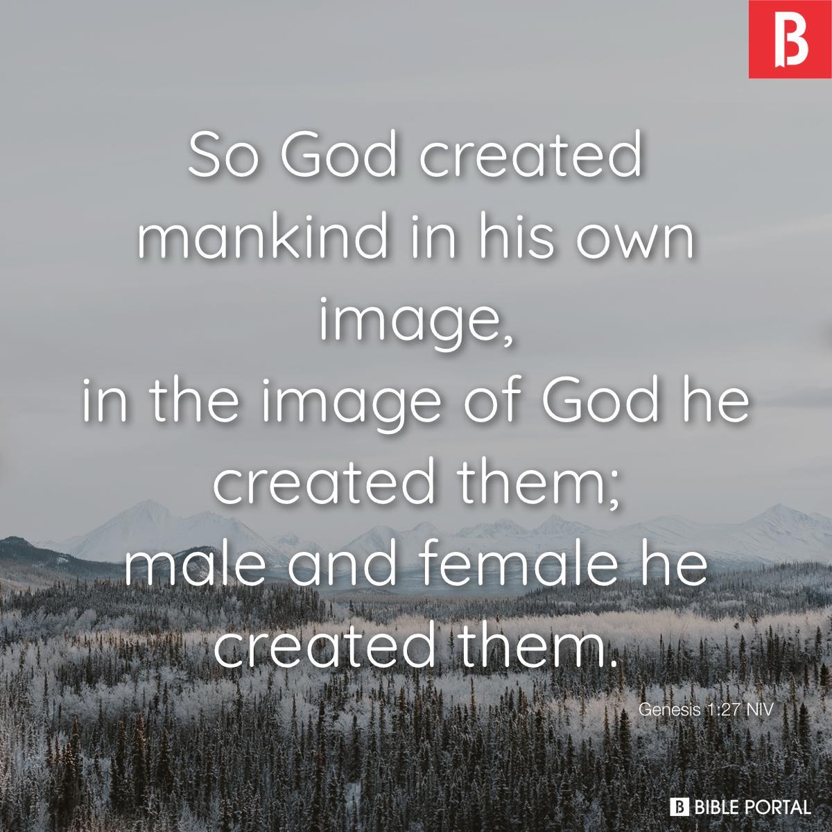 Genesis 1:27 NIV