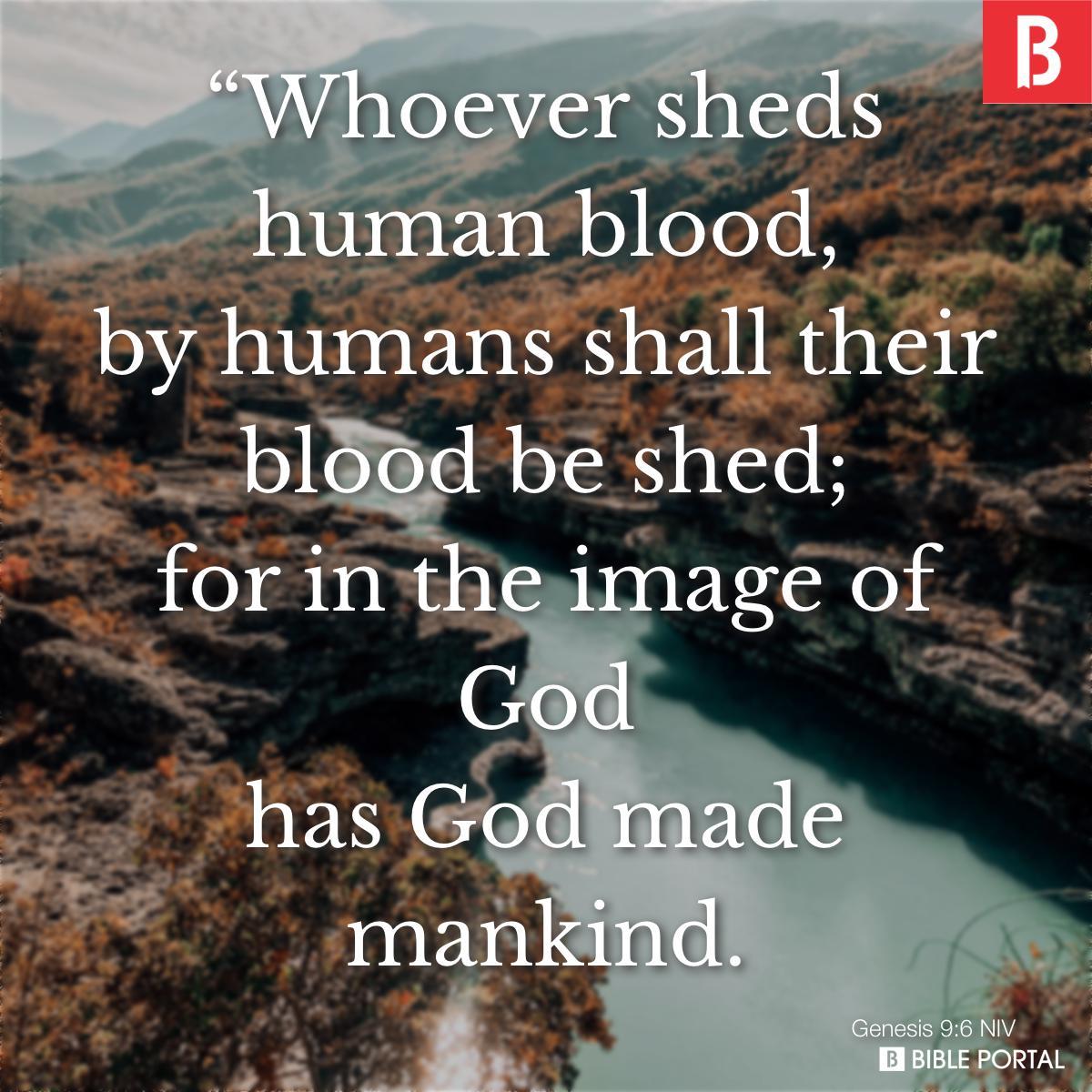 Genesis 9:6 NIV