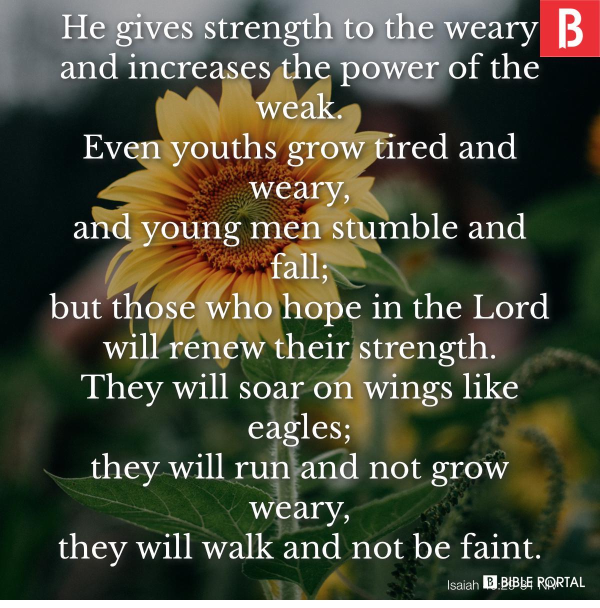 Isaiah 40:29-31 NIV