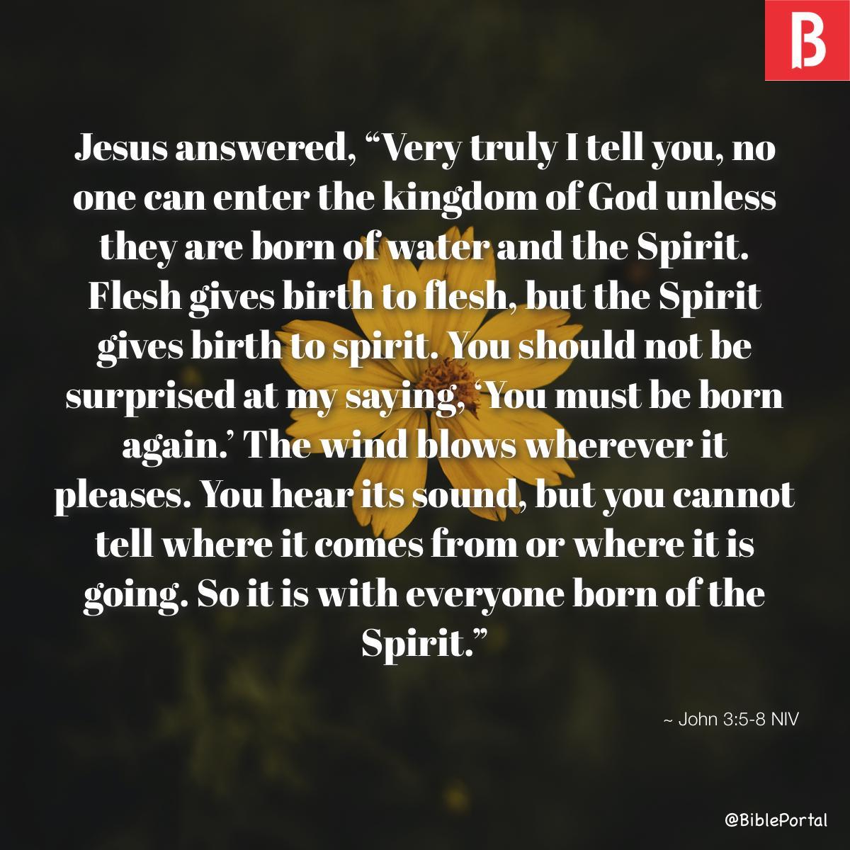 John 3:5-8 NIV