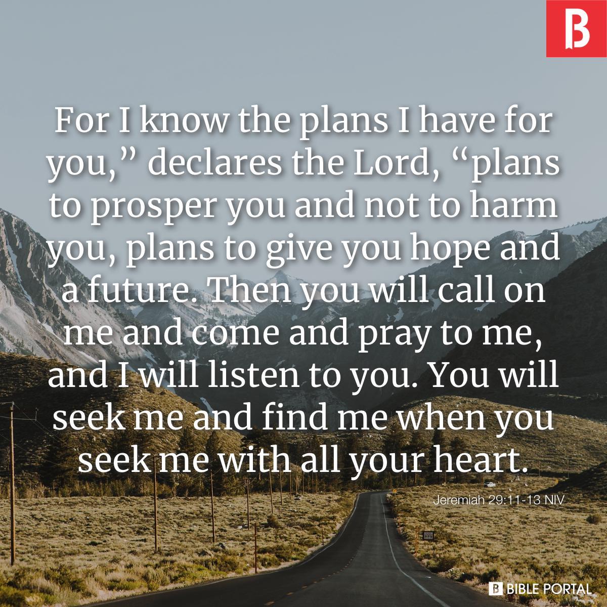 Bible verse of the day - January 13, 2022 - Jeremiah 29:11-13