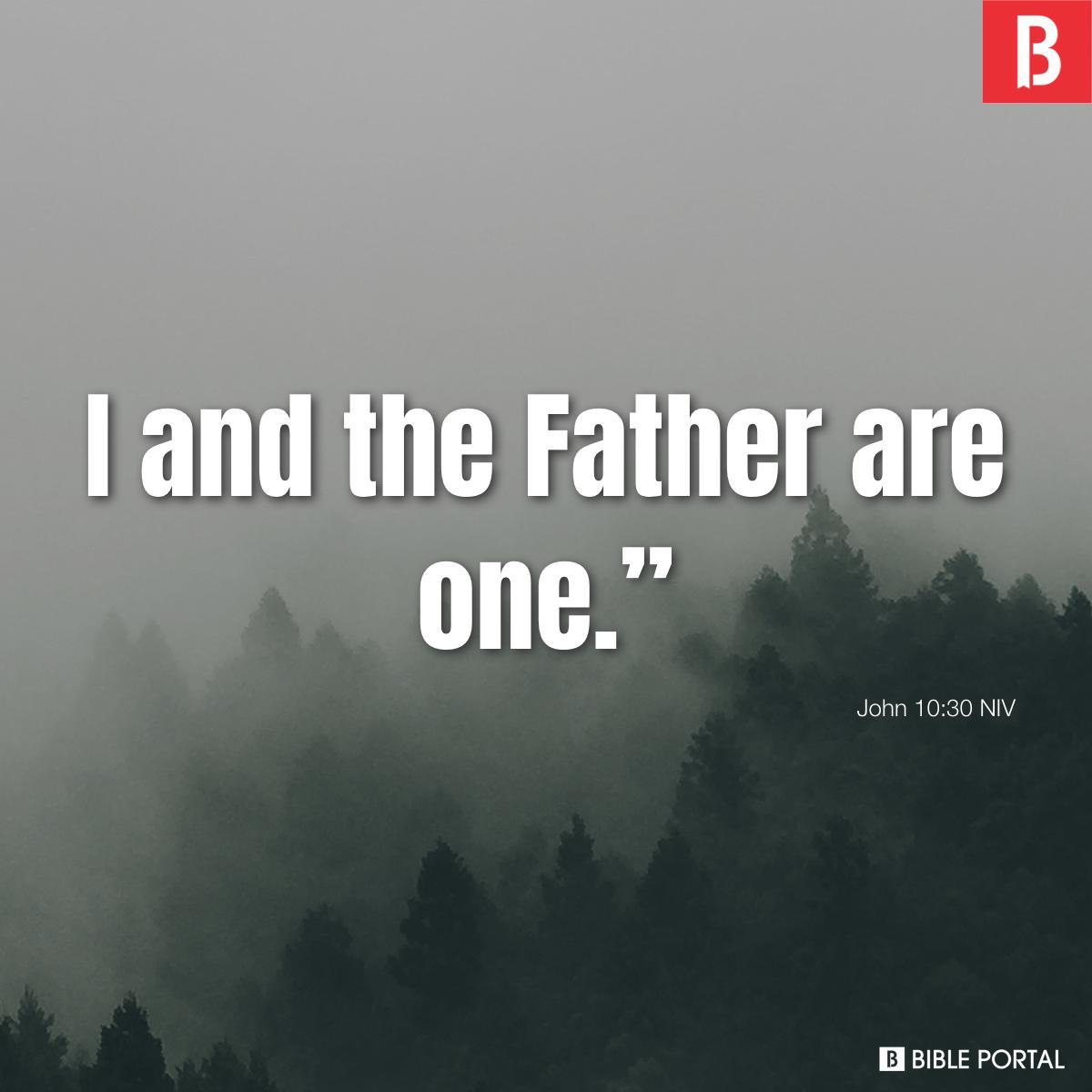 John 10:30 NIV