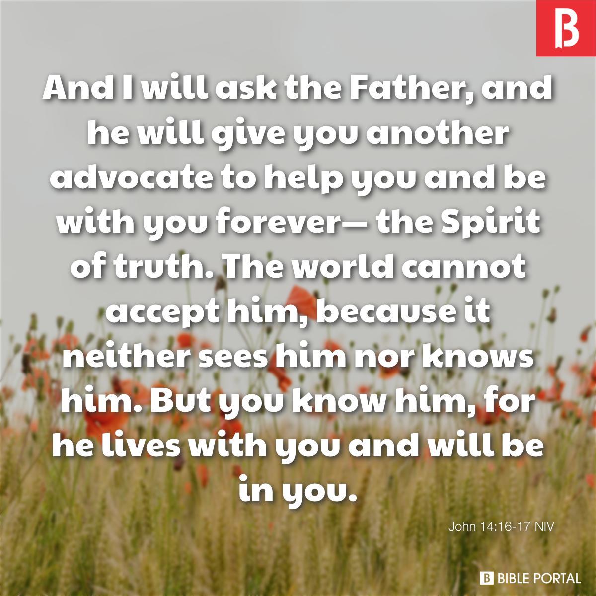 John 14:16-17 NIV