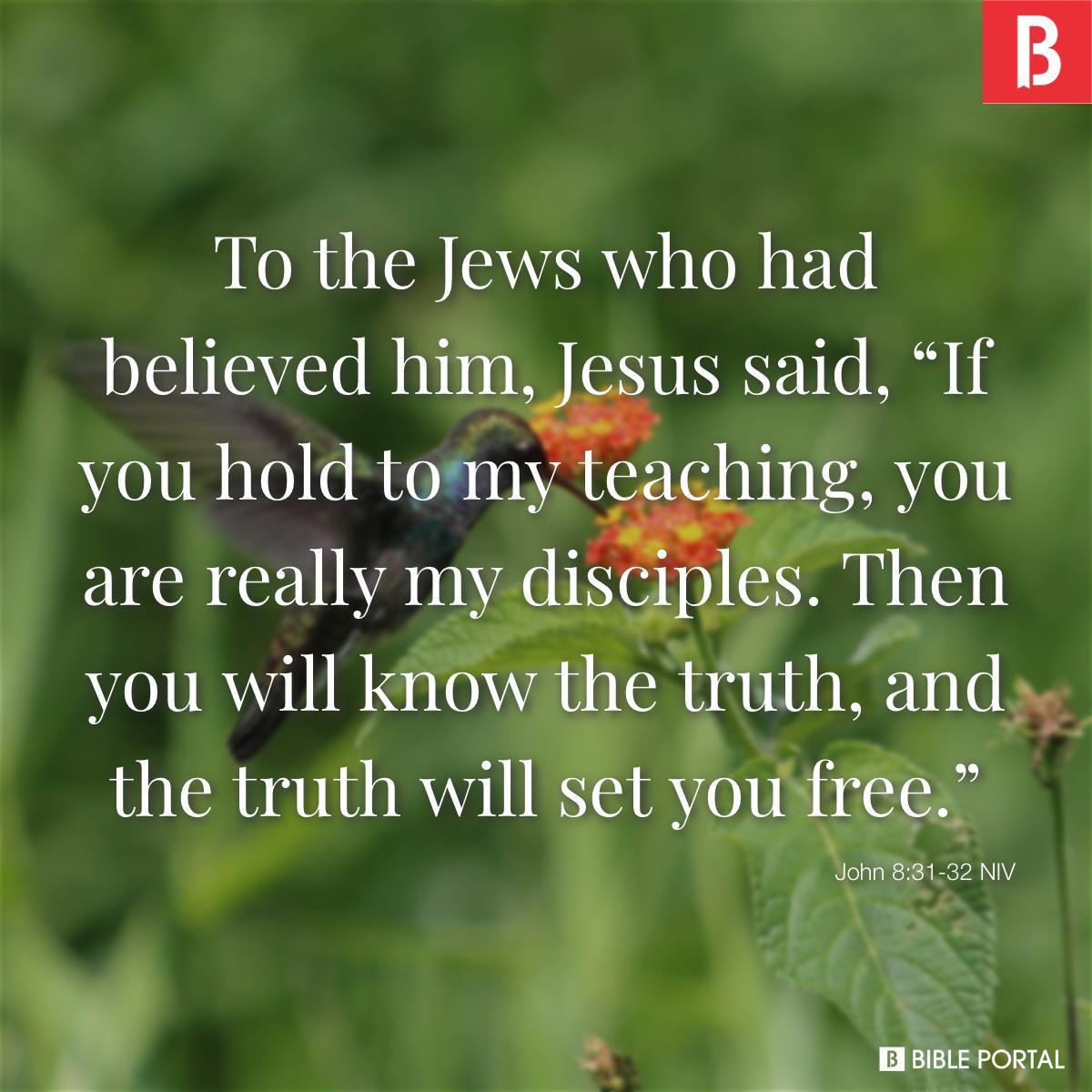 John 8:31-32 NIV