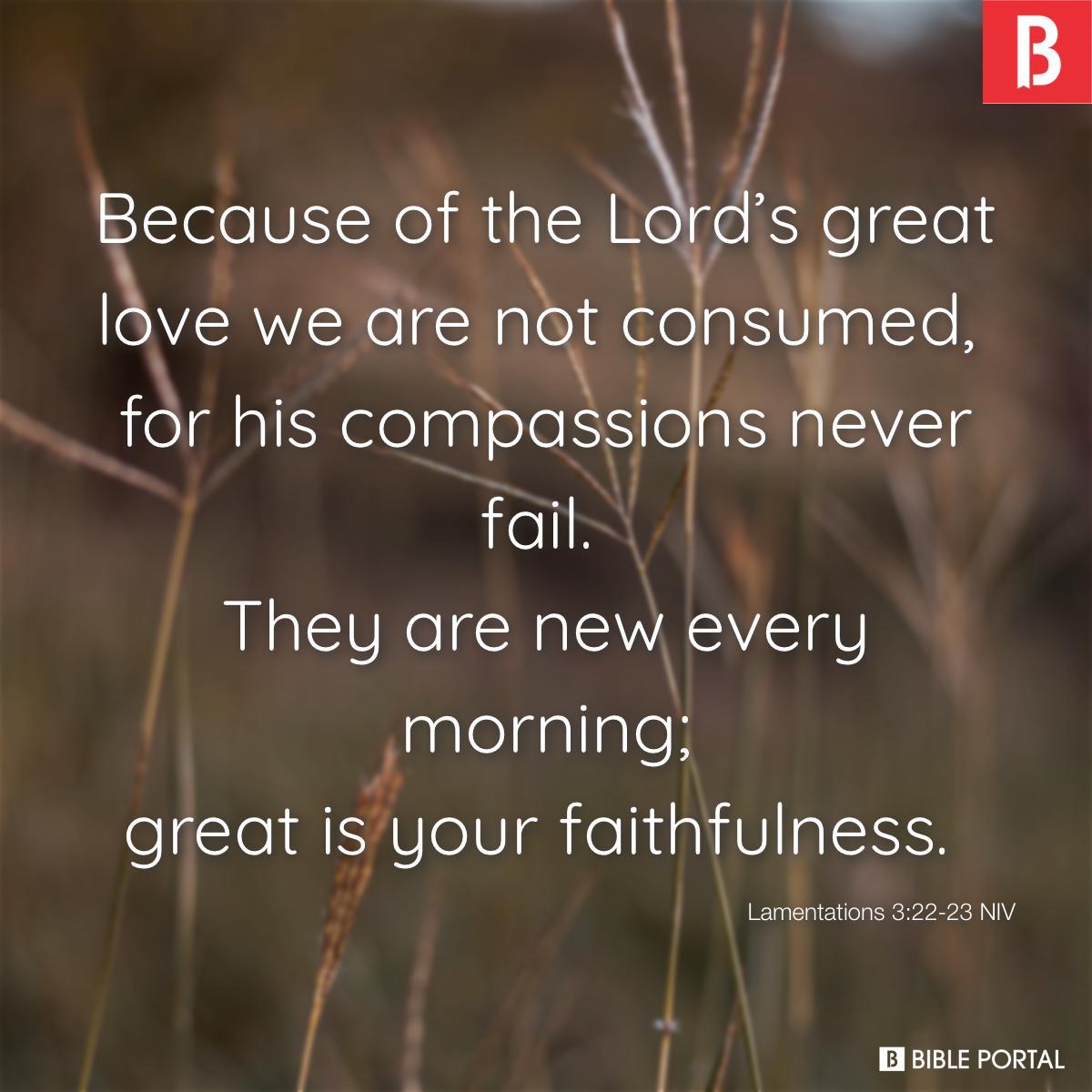 Bible verse of the day - May 26, 2022 - Lamentations 3:22-23