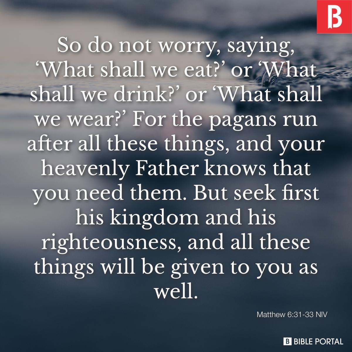 Matthew 6:31-33 NIV