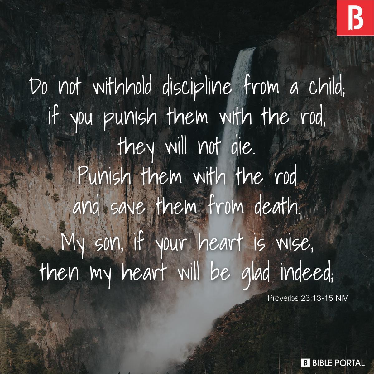 Proverbs 23:13-15 NIV