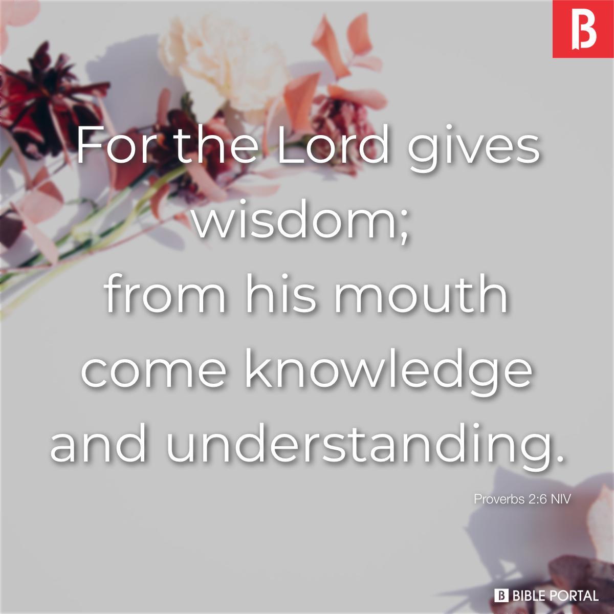 Proverbs 2:6 NIV