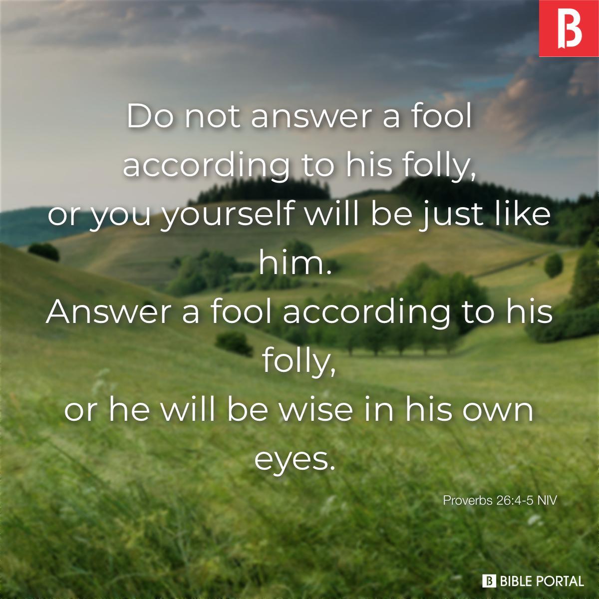 Proverbs 26:4-5 NIV
