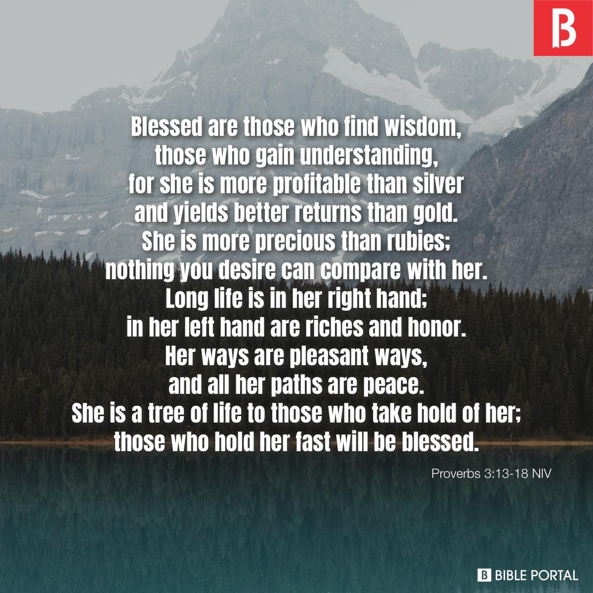 Proverbs 3:13-18 NIV