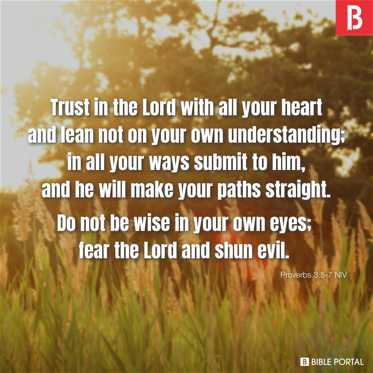Proverbs 3:5-7 NIV