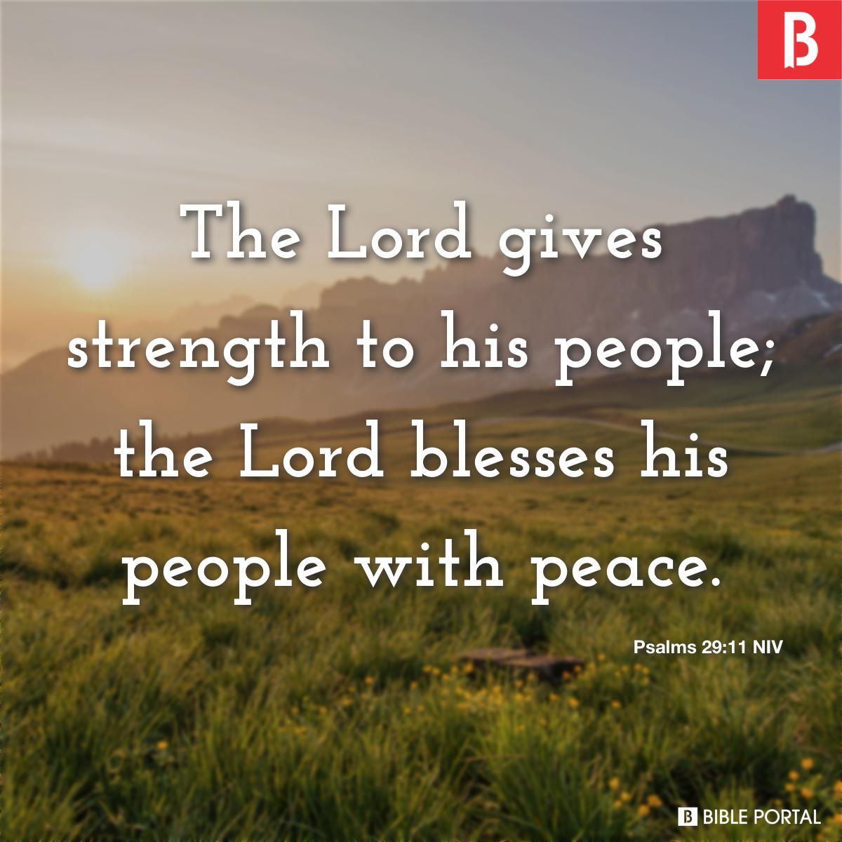 Bible verse of the day - November 25, 2022 - Psalm 29:11