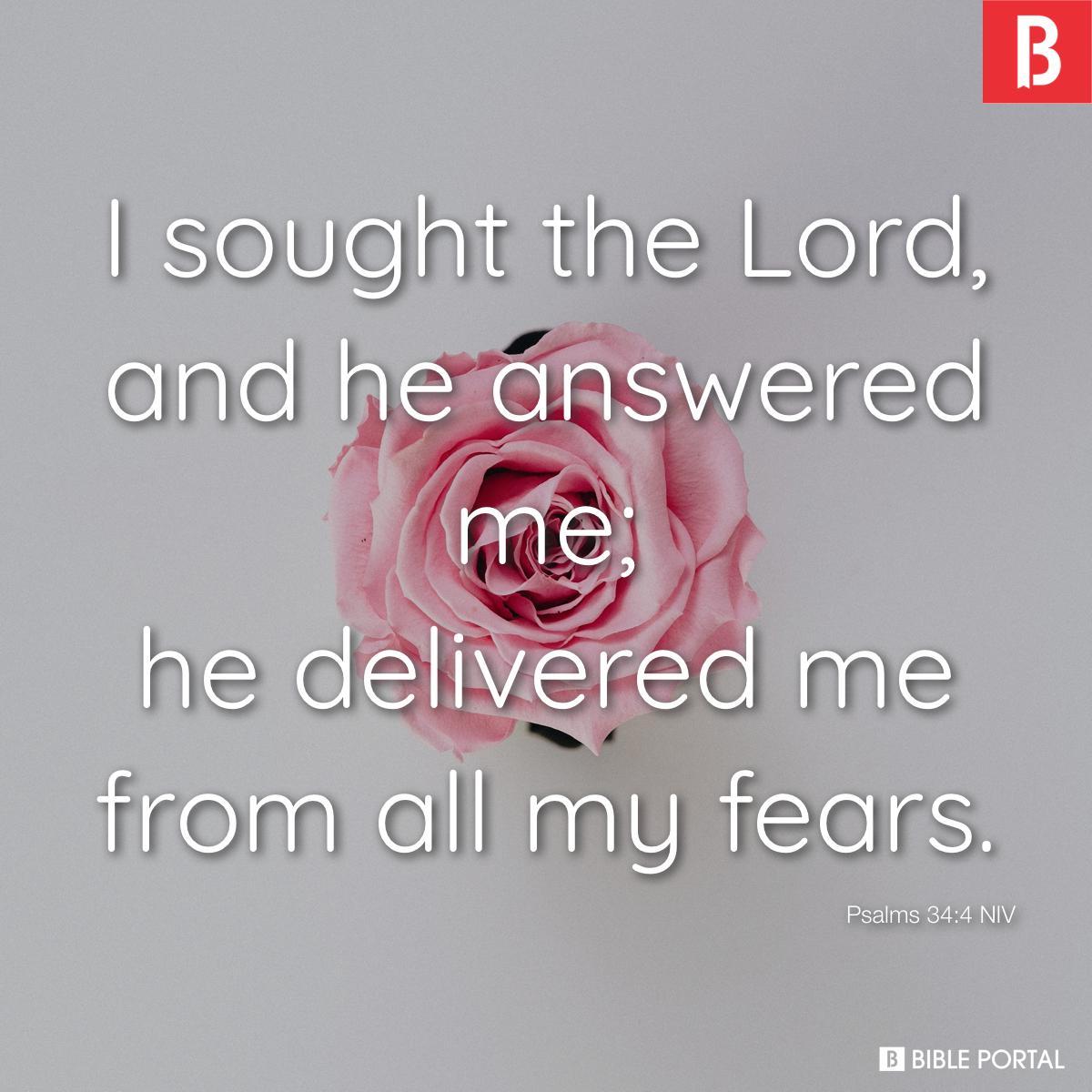 Psalms 34:4 NIV