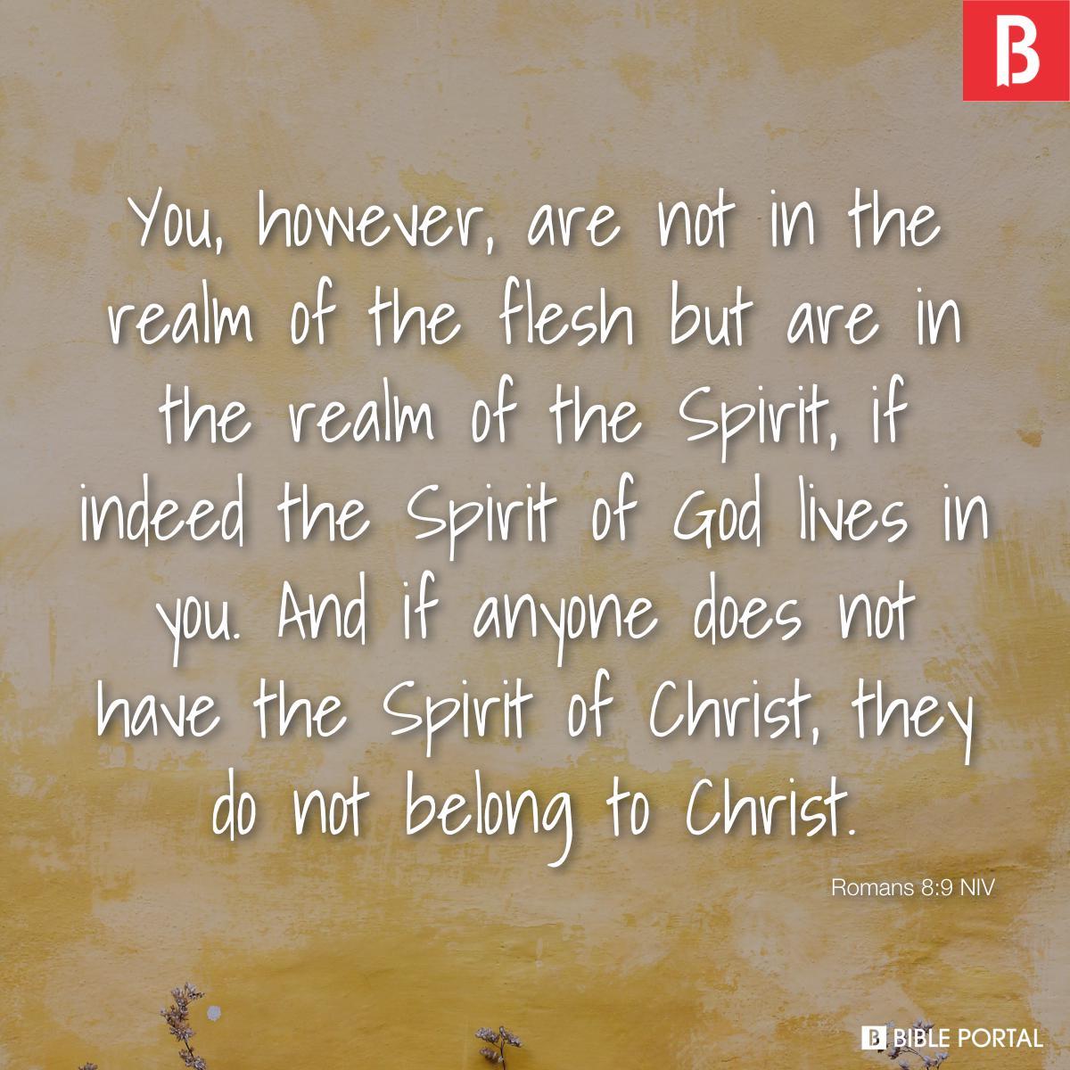 Romans 8:9 NIV