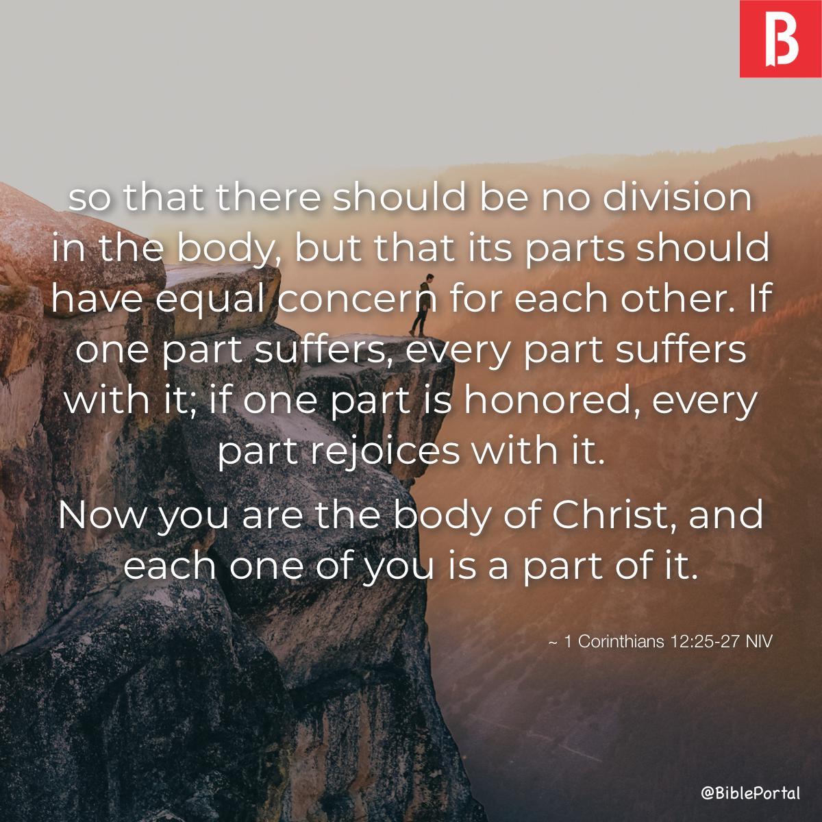 1 Corinthians 12:25-27 NIV