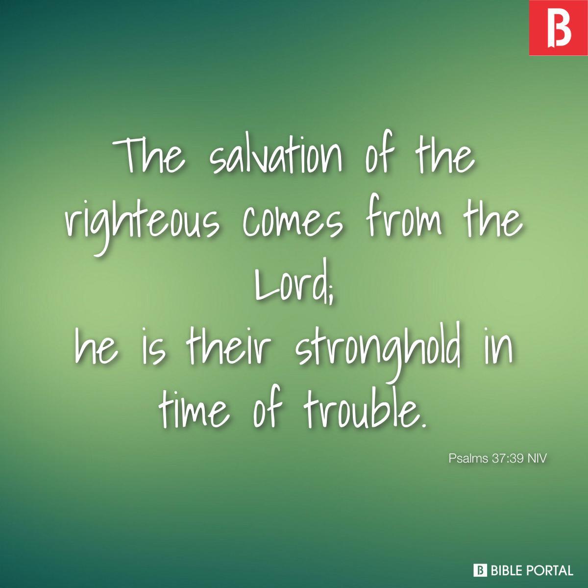 Psalms 37:39 NIV